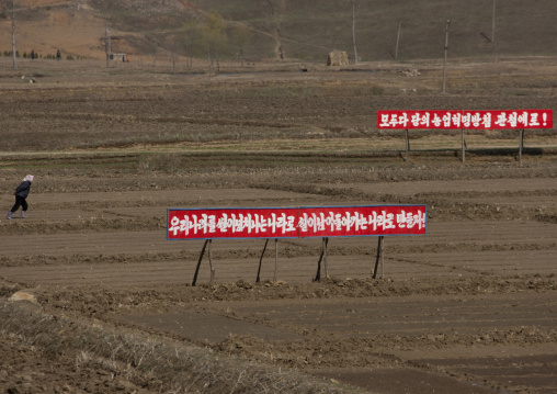Propaganda billboard in a paddy field, Pyongan Province, Pyongyang, North Korea