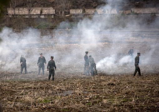 Slash and burn farming with North Korean soldiers, Pyongan Province, Pyongyang, North Korea