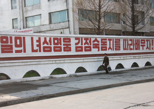 North Korean man passing in front of a propaganda billboard, Kangwon Province, Wonsan, North Korea