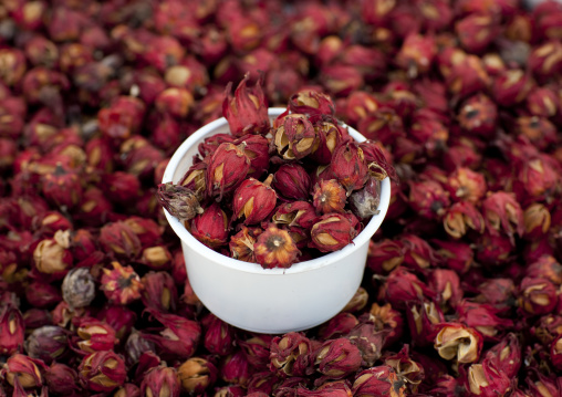 Carcade Dried Flowers Used To Make Tea, Sinaw, Oman