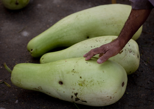 A Kind Of Vegetable At The Market, Sinaw, Oman