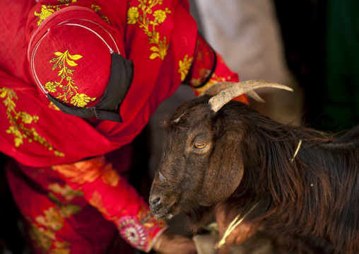Bedouin Woman In Red Niqab Choosing A Goat, Sinaw, Oman