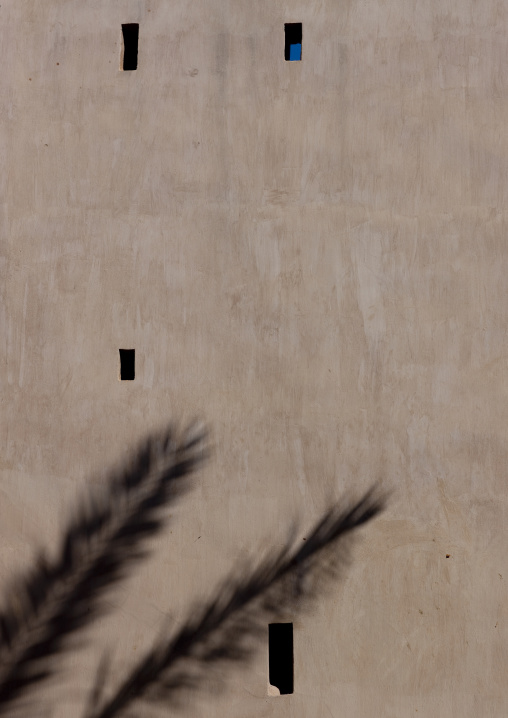 Shadow Of Palm Tree On The Wall Of Taqah Fort, Oman