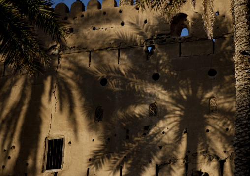Shadow Of Palm Trees On The Wall Of Castle, Birkat Al Mauz, Oman