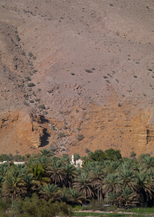 An Arabic Architecture Hidding In The Palms And Rock Mountains, Wadi Bani Khalid, Oman