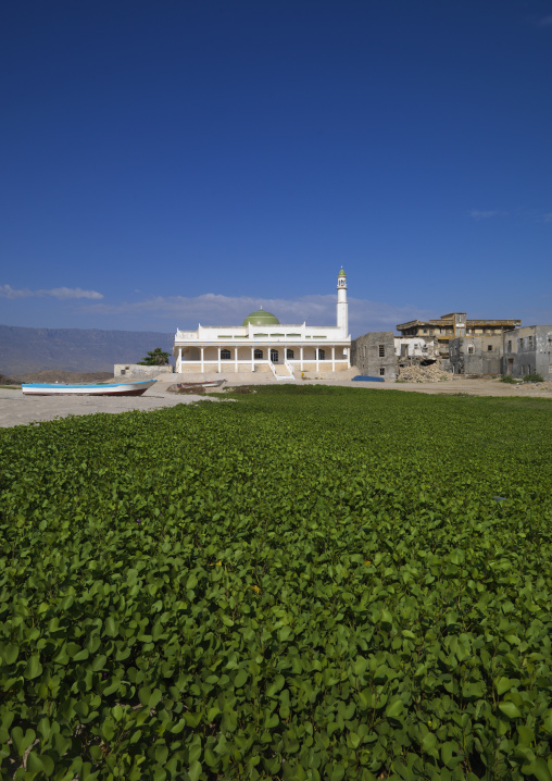 Prospect Of Mirbat Mosque With Green Plants, Oman