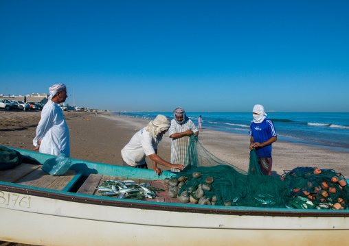 Fishermen bring back fishes in a boat on the beach, Al Batinah, Barka, Oman