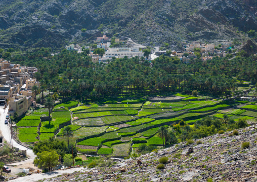 Village with lush green irrigated terraces, Al Hajar Mountains, Bilad Sayt, Oman