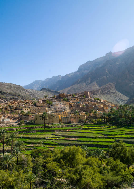 Village with lush green irrigated terraces, Al Hajar Mountains, Bilad Sayt, Oman