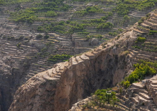 Old village with terraces to grow roses, Jebel Akhdar, Sayq, Oman