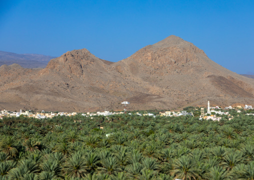 Village in an oasis in front of the mountain, Ad Dakhiliyah Region, Al Hamra, Oman