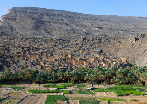 Old village in an oasis in front of the mountain, Ad Dakhiliyah Region, Riwaygh, Oman