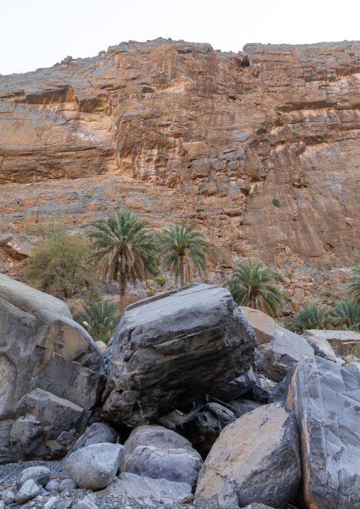 Wadi al nakhar, Ad Dakhiliyah Region, Wadi Al Nakhar, Oman