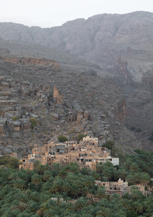 Old village in an oasis in front of the mountain, Ad Dakhiliyah Region, Misfat al Abriyyin, Oman