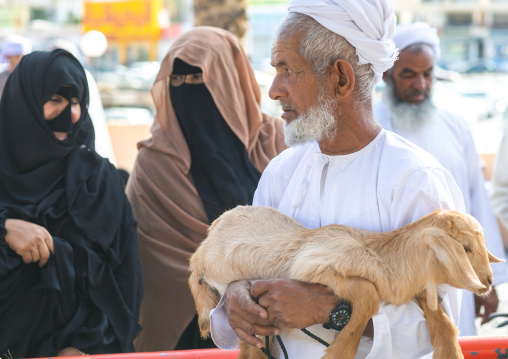 Omani man selling sheep in the market, Ad Dakhiliyah Region, Nizwa, Oman