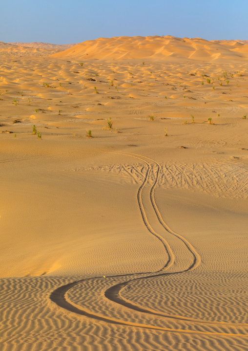 Sand car tire tracks in the rub al khali desert, Dhofar Governorate, Rub al Khali, Oman