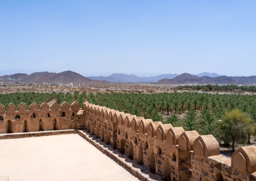 Jabrin castle oasis, Ad Dakhiliyah Region, Jabreen, Oman