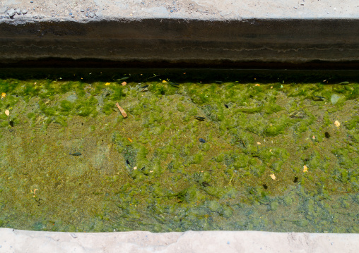 Falaj transporting water, Ad Dakhiliyah ‍Governorate, Birkat Al Mouz, Oman