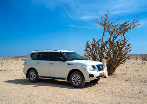 Off road vehicle parked in front of a frankincense tree, Dhofar Governorate, Wadi Dokah, Oman