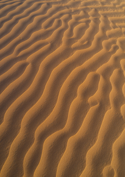 Sand dune sin rub al khali desert, Dhofar Governorate, Rub al Khali, Oman