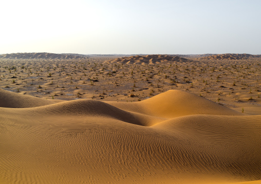 Sand dune sin rub al khali desert, Dhofar Governorate, Rub al Khali, Oman