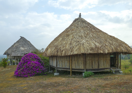 Panama, Darien Province, Meteti, Filo Del Tallo Lodge