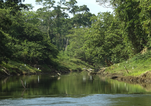 Panama, Darien Province, Filo Del Tallo, Río Chucunaque