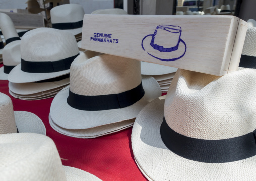 Panama, Province Of Panama, Panama City, Panama Hats For Sale In A Local Market In Casco Viejo