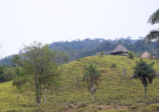 Panama, Darien Province, Meteti, Filo Del Tallo Lodge