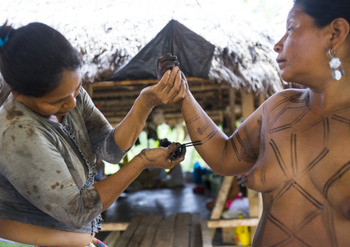 Panama, Darien Province, Bajo Chiquito, Woman Of The Native Indian Embera Tribe Is Ceremonially Decorated With Jagua Bodypaint