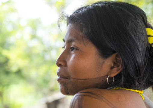 Panama, Darien Province, Bajo Chiquito, Woman Of The Native Indian Embera Tribe Portrait