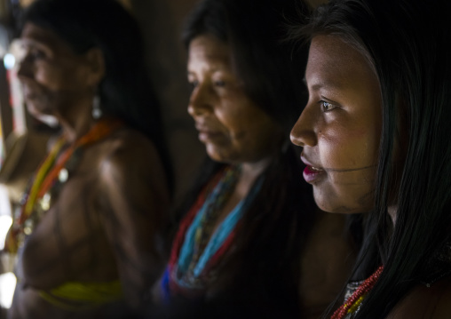 Panama, Darien Province, Bajo Chiquito, Women Of The Native Indian Embera Tribe Portrait