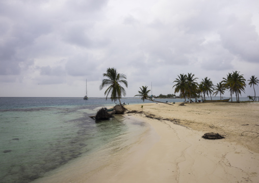 Panama, San Blas Islands, El Porvenir, White Sand Beach And Palm Trees In The San Blas Islands