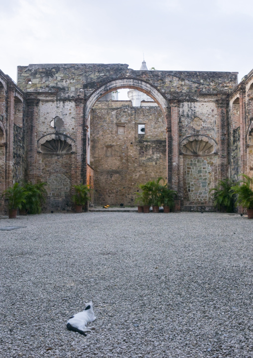 Panama, Province Of Panama, Panama City, Ruins Of Conception Nuns Convent At Panama Viejo