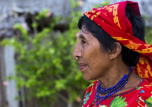 Panama, San Blas Islands, Mamitupu, Profile Of A Portrait Of Kuna Tribe Woman