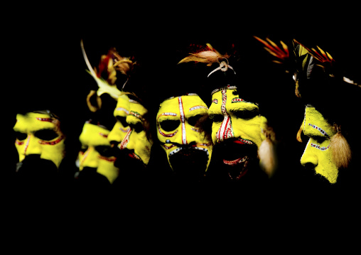Hulis wigmen in traditional clothing during a sing-sing, Western Highlands Province, Mount Hagen, Papua New Guinea