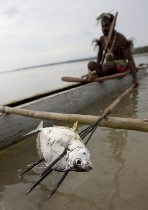 Man on a pirogue fishing with a harpoon, New Ireland Province, Kavieng, Papua New Guinea