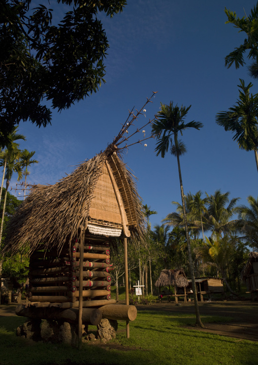 House in a village to store the yam roots, Milne Bay Province, Trobriand Island, Papua New Guinea
