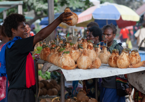 Woman selling cocounts in a market, East New Britain Province, Rabaul, Papua New Guinea