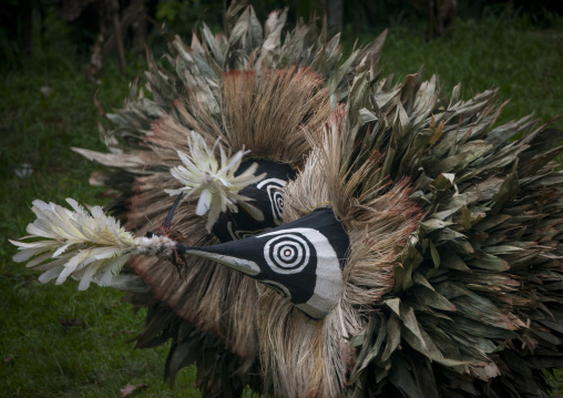 Duk duk giant masks during a Tubuan dance, East New Britain Province, Rabaul, Papua New Guinea