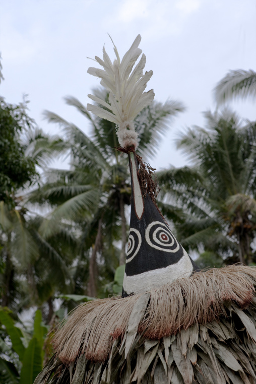 Duk duk giant mask during a Tubuan dance, East New Britain Province, Rabaul, Papua New Guinea