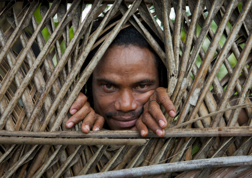 Man putting out his head from a palm leaves fence, Milne Bay Province, Alotau, Papua New Guinea