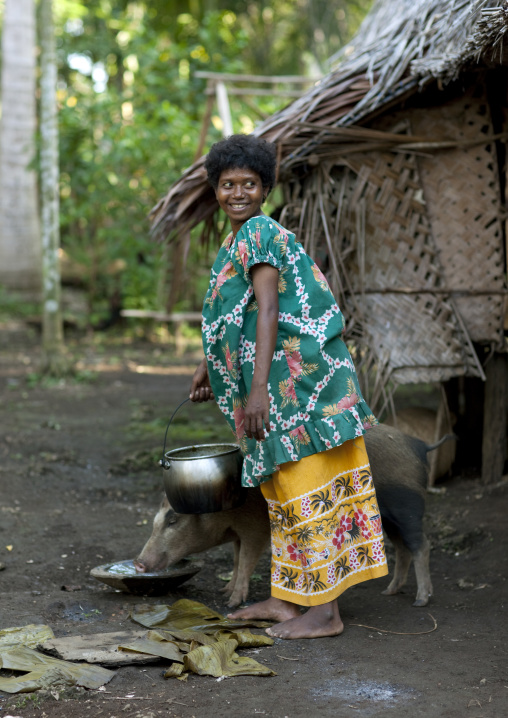 Woman feeding pigs in a village, Milne Bay Province, Trobriand Island, Papua New Guinea
