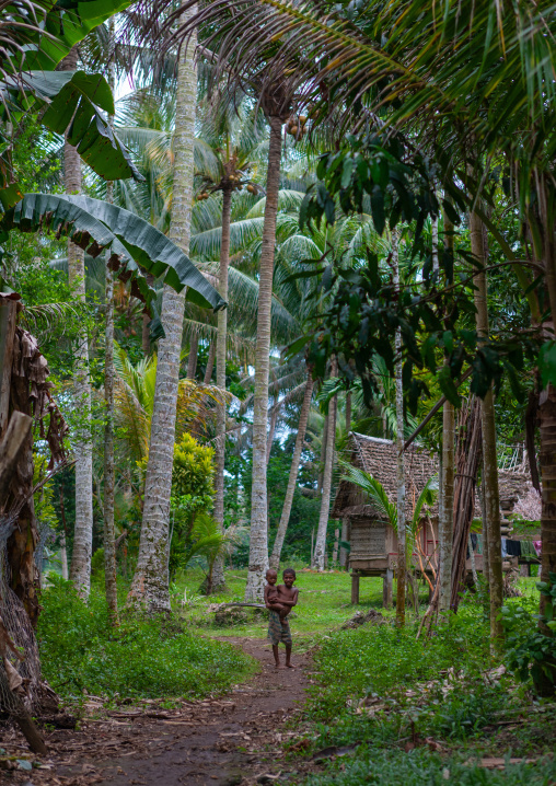 Children in a village in a forest, Milne Bay Province, Trobriand Island, Papua New Guinea