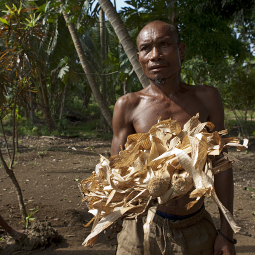 Man holding dried banana leaves used as local money, Milne Bay Province, Trobriand Island, Papua New Guinea