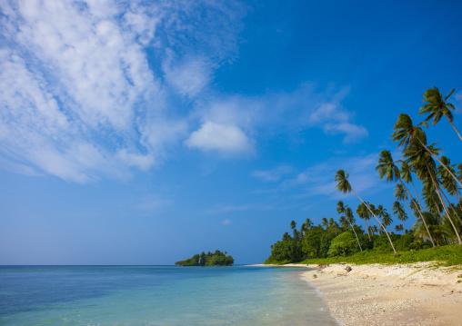 Palm trees on the beautiful deserted kaibola beach, Milne Bay Province, Trobriand Island, Papua New Guinea