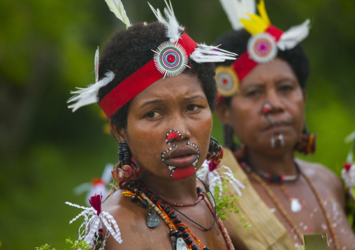 Portrait of tribal women in traditional clothing, Milne Bay Province, Trobriand Island, Papua New Guinea