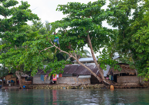 Protection against rising sea levels in a costal village, Autonomous Region of Bougainville, Bougainville, Papua New Guinea