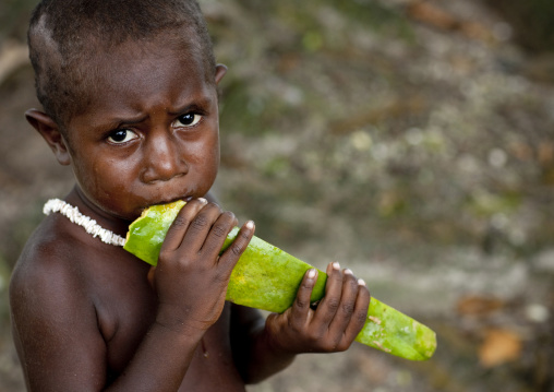 Boy eating a papaya, Autonomous Region of Bougainville, Bougainville, Papua New Guinea