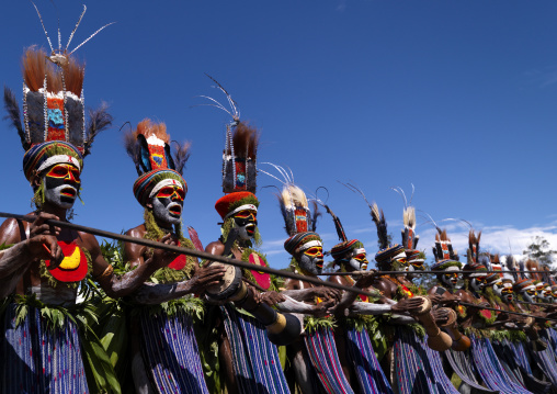 Kunga warriors dancing and beating drums during a sing-sing, Western Highlands Province, Mount Hagen, Papua New Guinea